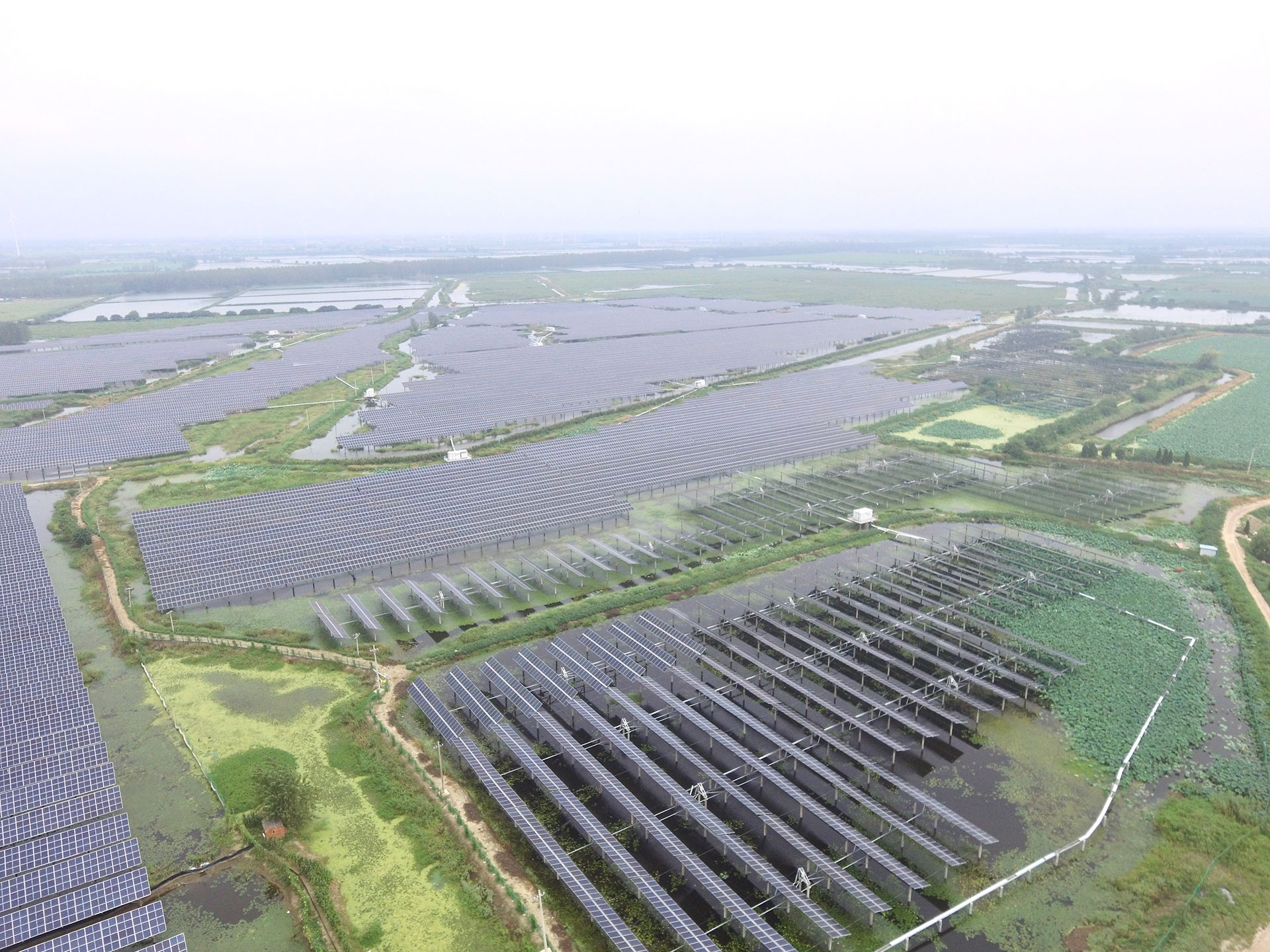 LEHU - 乐虎 科技江苏扬州宝应光伏发电应用领跑基地2号100兆瓦项目